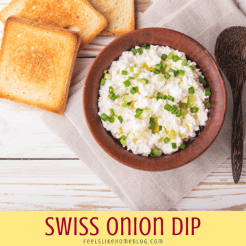 Swiss onion dip with toast squares