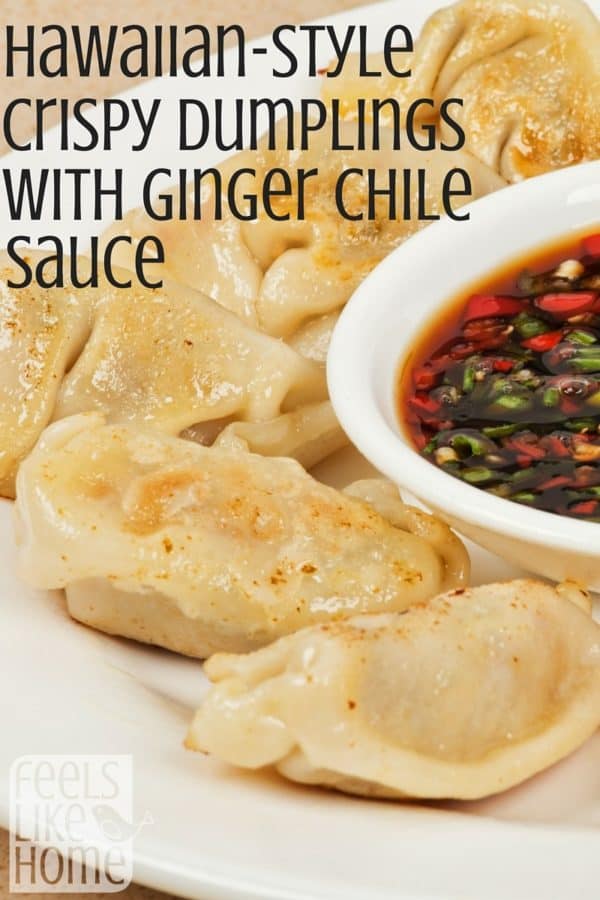 A bowl of food on a plate, with Dumpling and Ginger