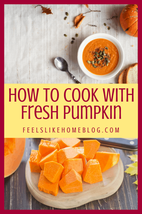 pumpkin soup and cut up pumpkin