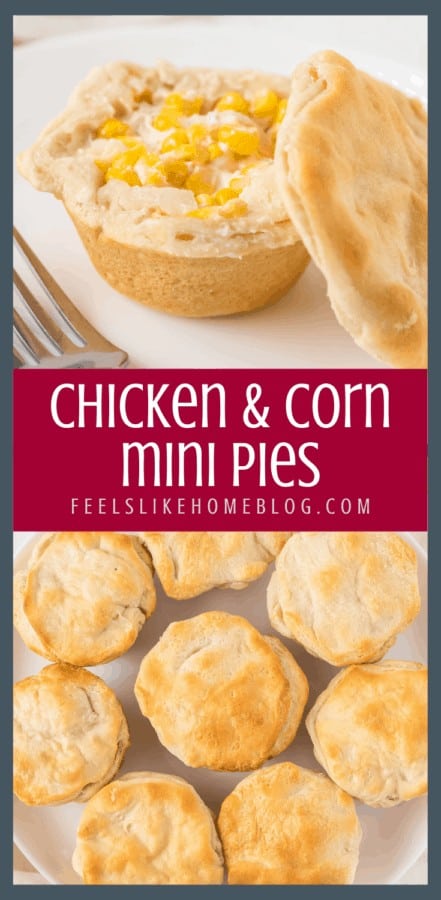 A close up of food, with Chicken corn and mini pies