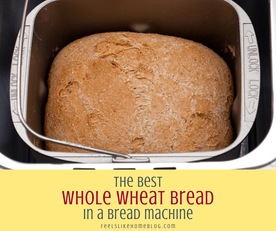whole wheat bread in the bread machine
