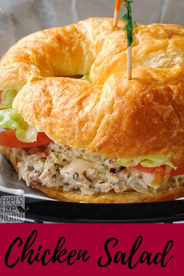 A close up of a chicken salad sandwich