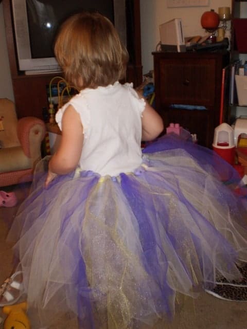 A little girl wearing a big tutu