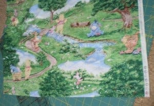 A close up of the two pieces of the cape