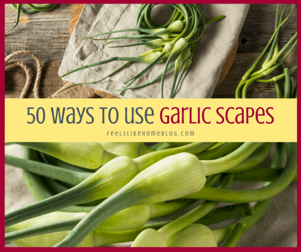 a collage of garlic scapes up close