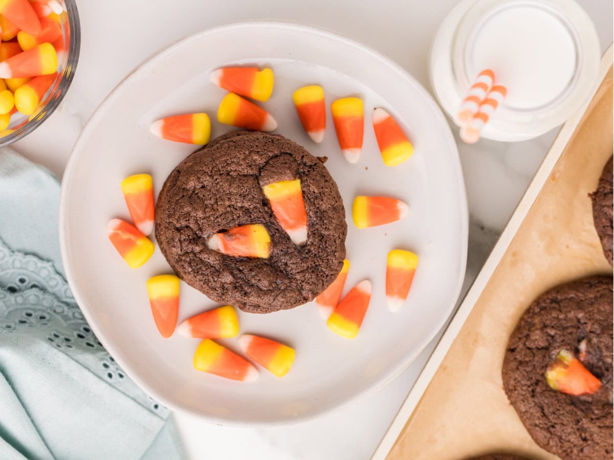 Soft double chocolate Halloween cookies