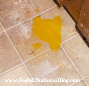 How To Clean A Broken Egg Off the Kitchen Floor - Fresh Eggs Daily