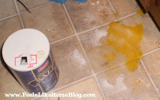 How To Clean A Broken Egg Off the Kitchen Floor - Fresh Eggs Daily