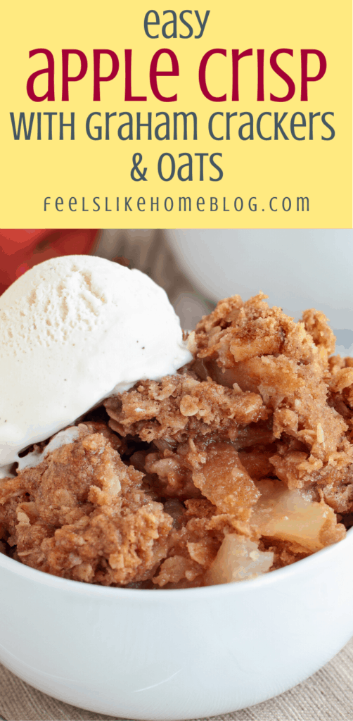 easy apple crisp with ice cream in a white bowl