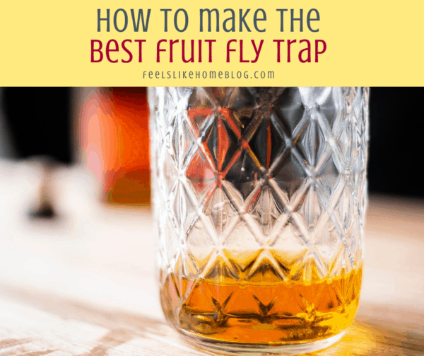 How to Get Rid of Fruit Flies: 6 Easy DIY Traps