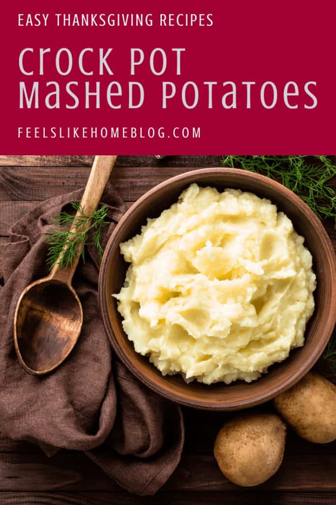 A bowl of mashed potatoes with slow cooker and crockpot