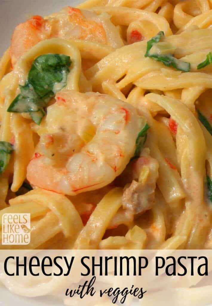 A close up of pasta with shrimp and cheese sauce