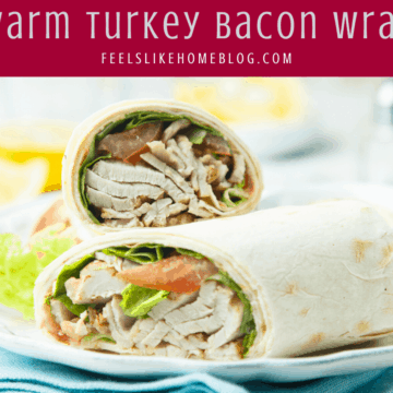 A plate of food, with a warm turkey Wrap