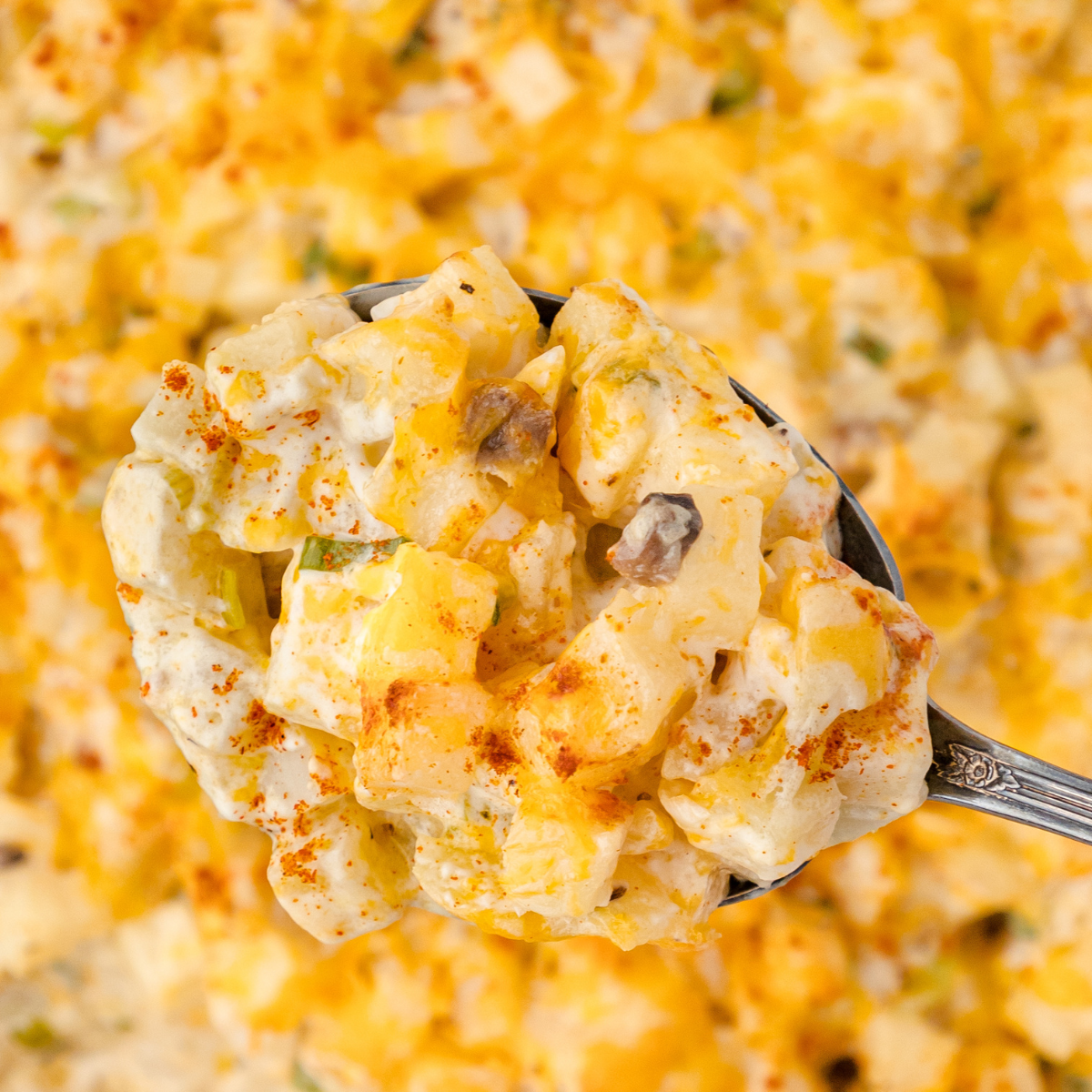 a close up of a spoonful of healthy hash brown casserole from Weight Watchers