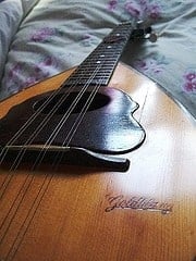 a mandolin