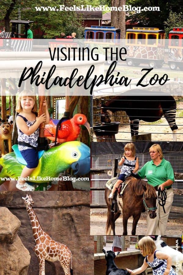 A collage of Philadelphia zoo pictures