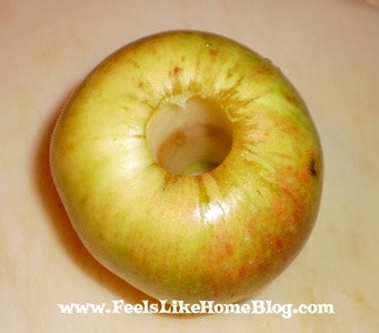 wormy apple snack