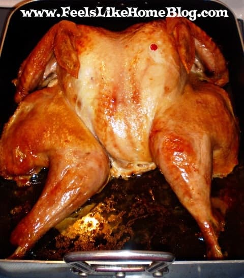A close up of a spotchcocked turkey