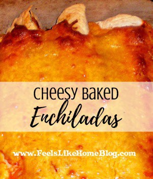 How to Make Easy and Simple Cheesy Baked Chicken Enchiladas – This meal is cooked in the oven which crisps the tortillas and makes them crunchy. Perfect comfort food meal for busy families! How to Make Easy and Simple Cheesy Baked Chicken Enchiladas - This meal is cooked in the oven which crisps the tortillas and makes them crunchy. Perfect comfort food meal for busy families!