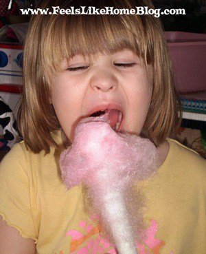 Cotton candy - Carnival Food