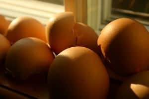 10 ways to use egg shells 10 ways to use egg shells