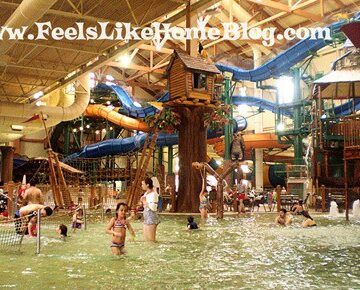 Great Wolf Lodge indoor waterpark