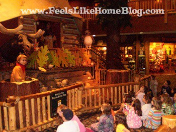 Great Wolf Lodge story time