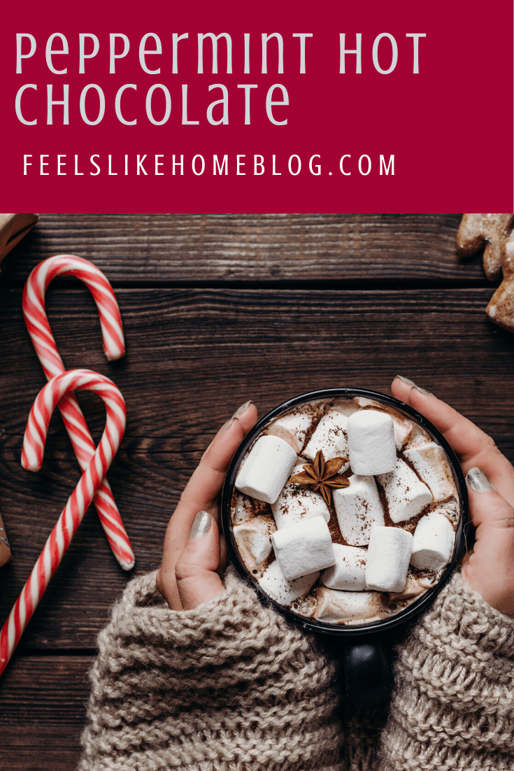 Peppermint Hot Chocolate