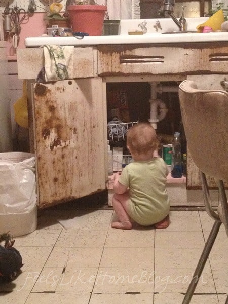 Allie cleaning out under Old Grandma\'s sink