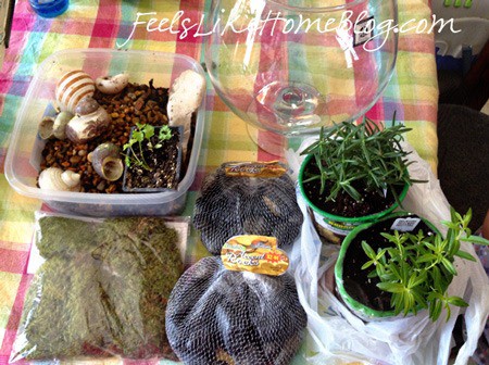 Terrarium materials