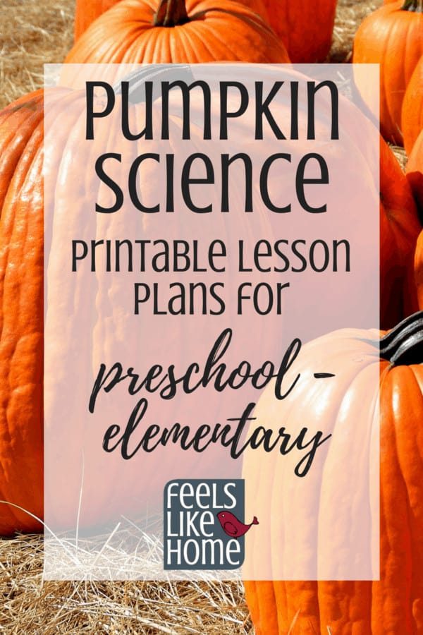 a bunch of pumpkins with the title \"pumpkin science: printable lesson plans for preschool-elementary\"