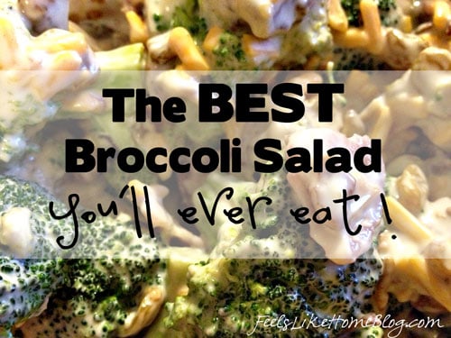 The Best Broccoli Salad You’ll Ever Eat The Best Broccoli Salad You'll Ever Eat