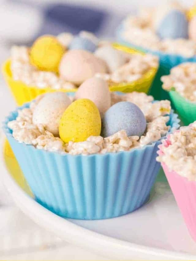 HOW TO MAKE RICE KRISPIE NESTS STORY