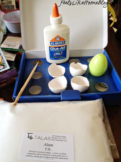 Cool Science Experiments for Kids