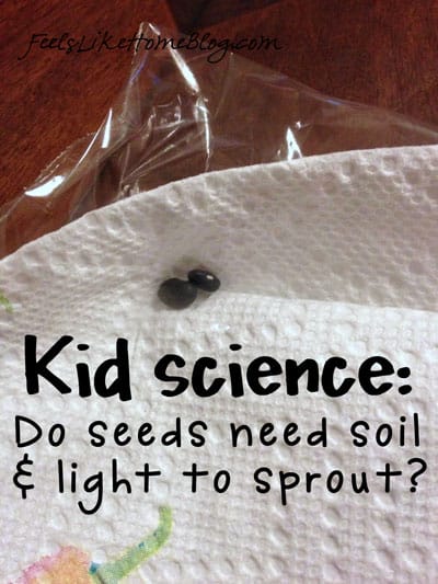 Kid Science: Do Seeds Need Soil & Light to Sprout?