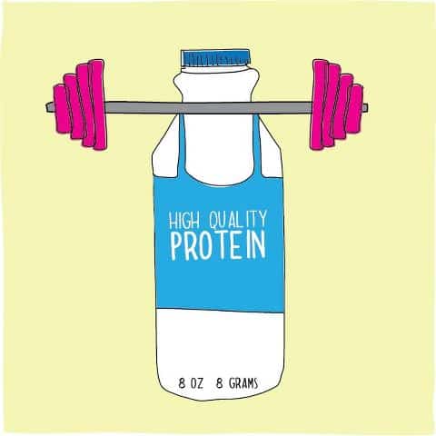 milk protein