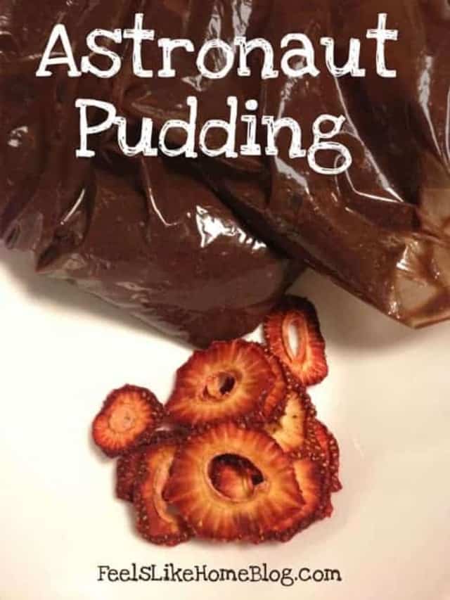 HOW TO MAKE EASY ASTRONAUT PUDDING STORY