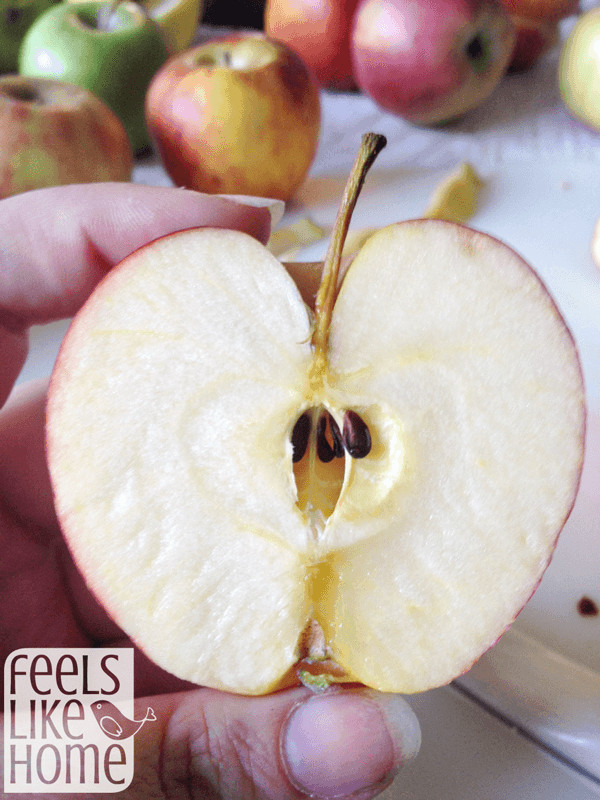 An apple cut in half