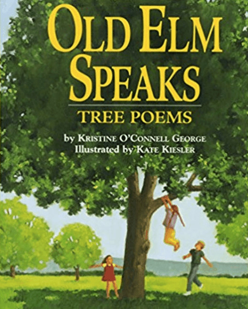 A close up of a book cover