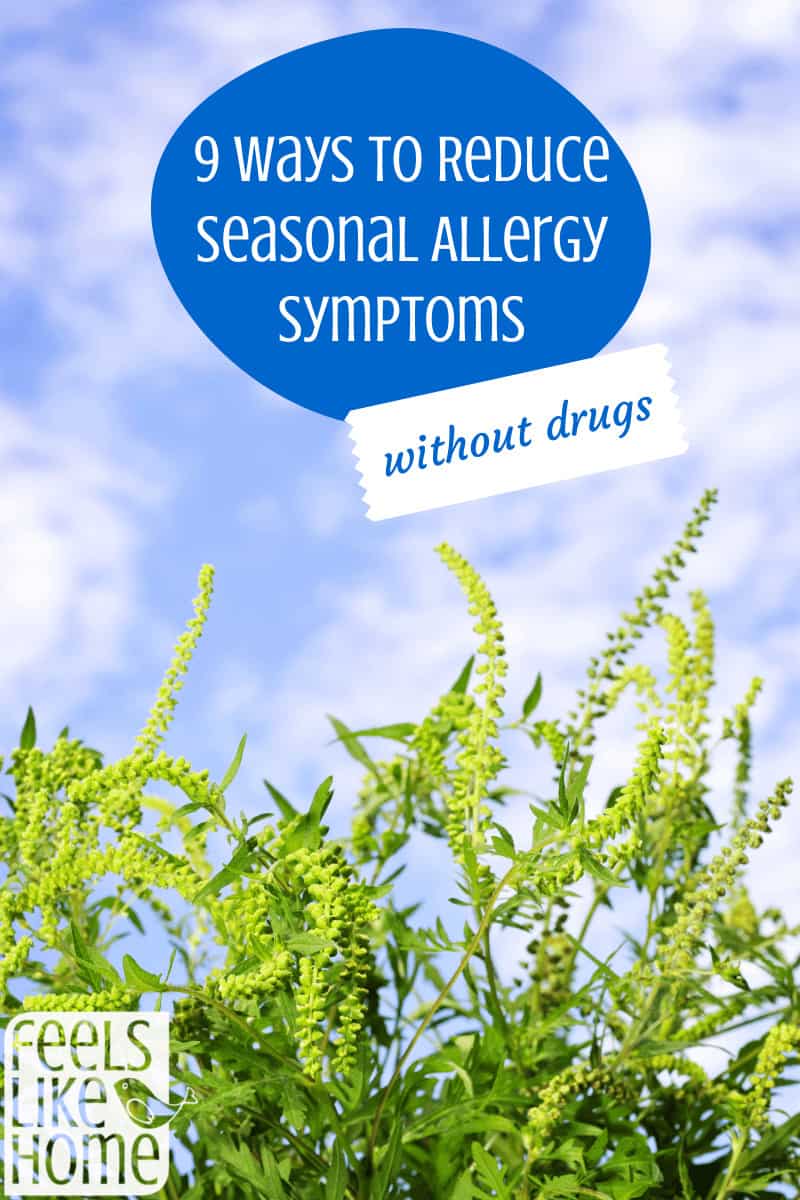 9 Ways To Reduce Seasonal Allergy Symptoms Without Drugs | Feels Like Home™