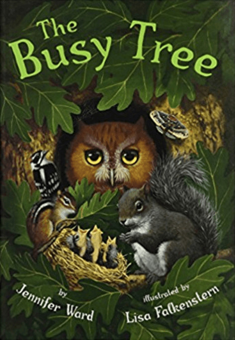 A book about birds