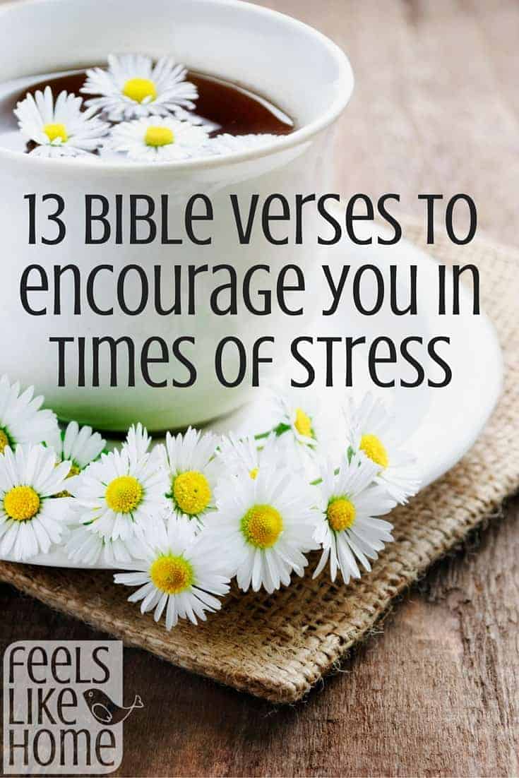 daisies on a plate with the title "13 bible verses to encourage you in times of stress"