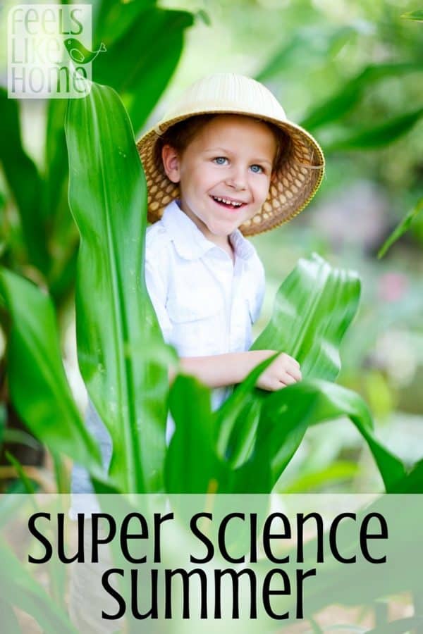 Free summer science camp at home with 11 weeks of daily activities! This is so cool!