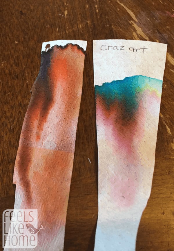 two pieces of chromatography paper