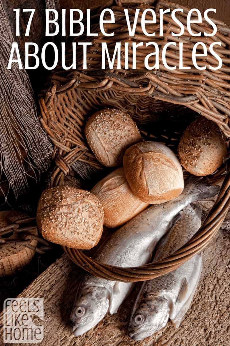 bread and fishes with the title "17 bible verses about miracles"