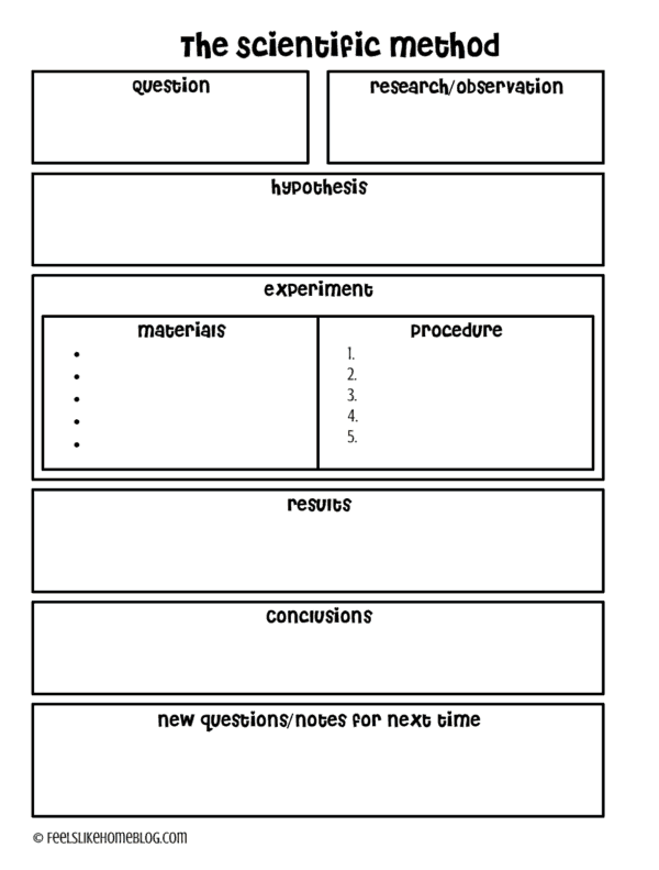 A scientific method worksheet