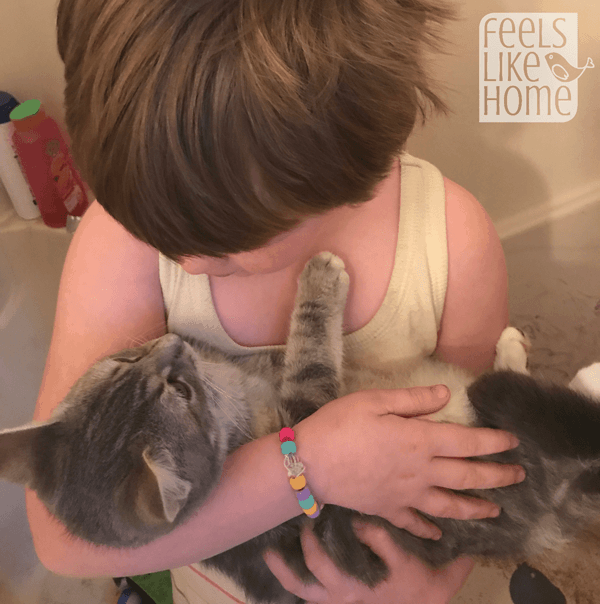 A little girl holding a kitten