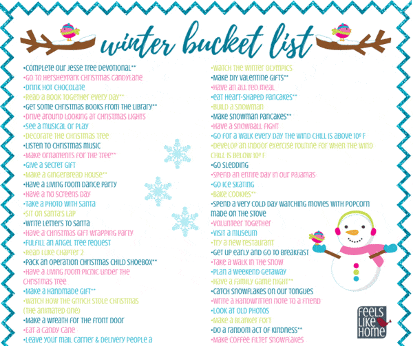 Winter bucket list family fun printable