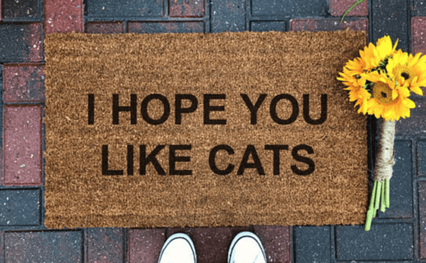 Welcome mat that says \"I hope you like cats\"