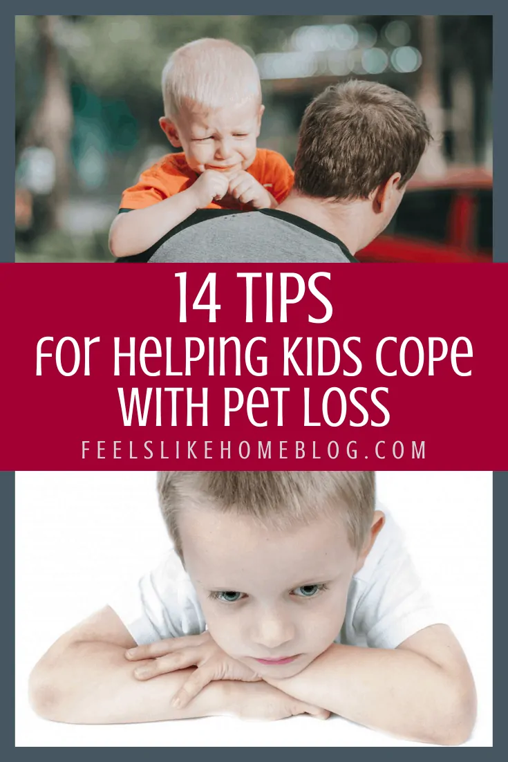 How to Help Kids Deal with the Death of a Pet - 14 Tips for Coping